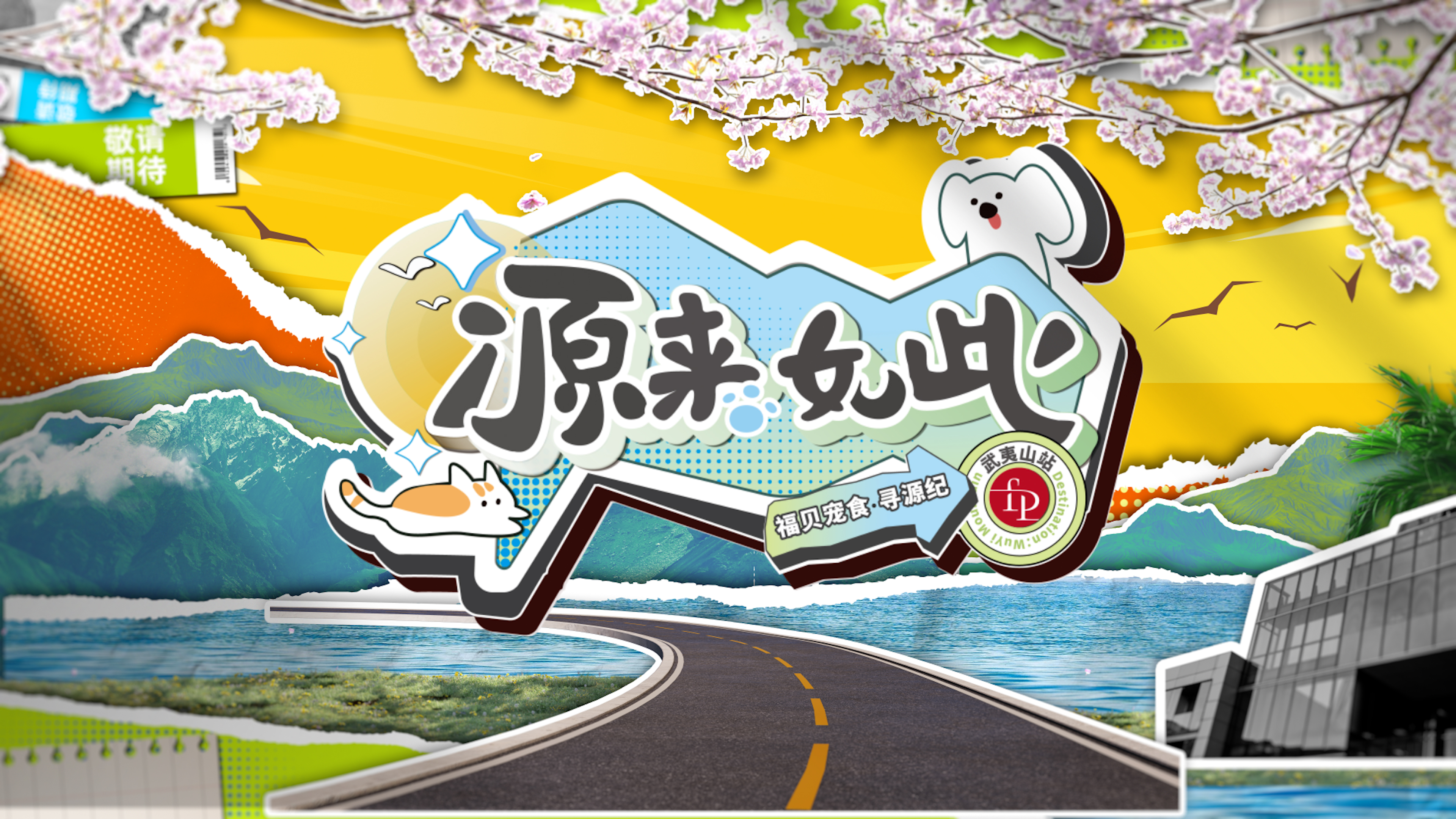 打破常規，用生動的方式傳遞價值——福貝寵食《尋源紀》微綜藝正式上線