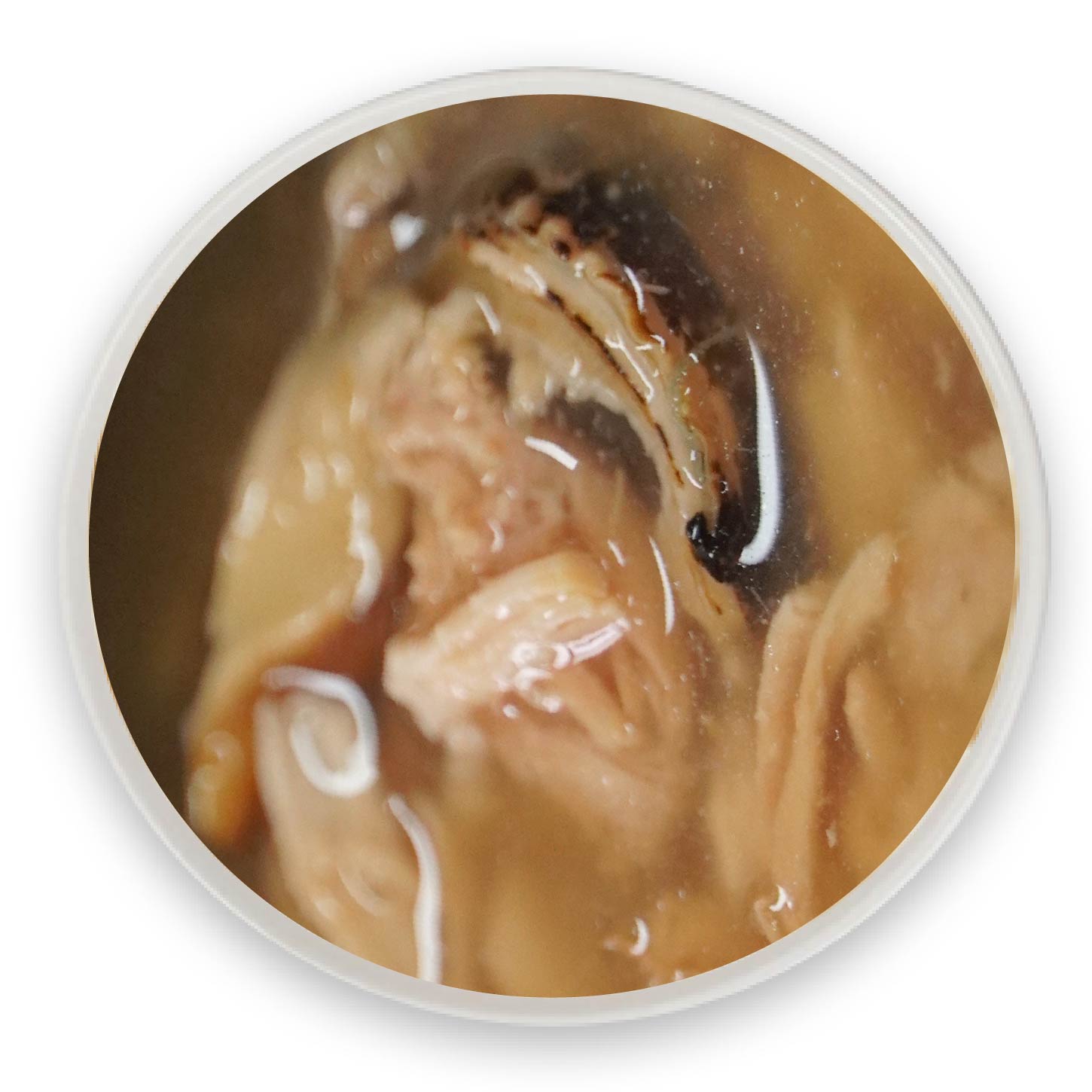 雞絲綠唇貽貝湯罐