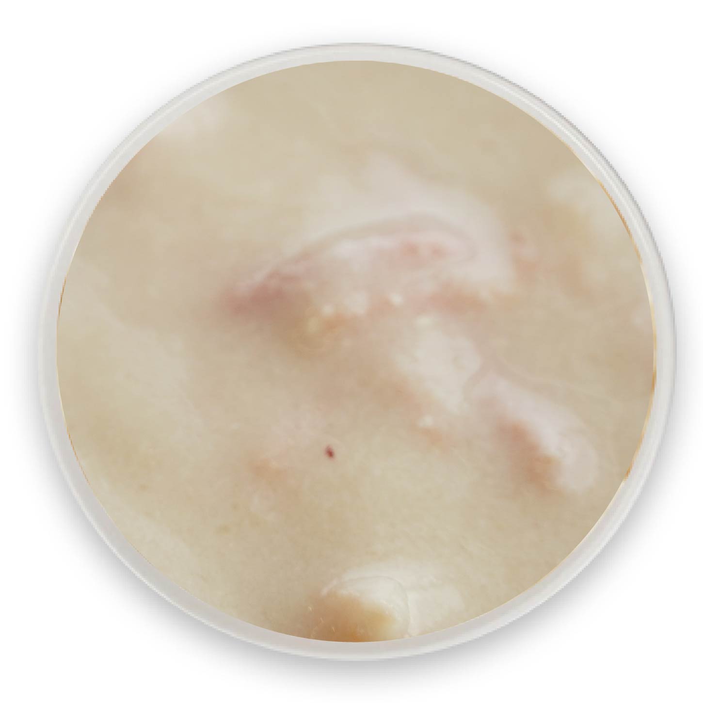 雞肉鴨肉肉泥罐